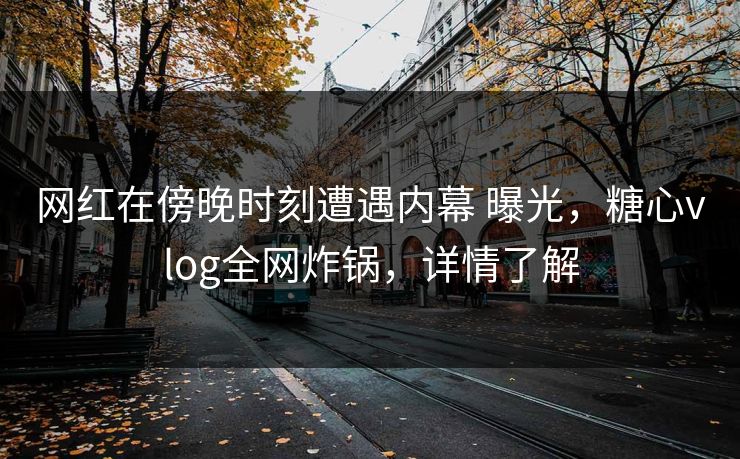 网红在傍晚时刻遭遇内幕 曝光，糖心vlog全网炸锅，详情了解